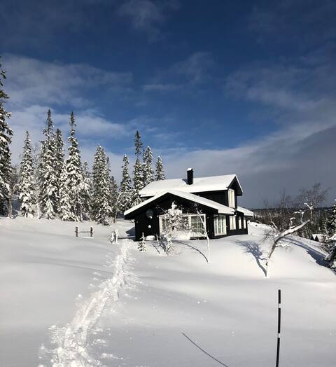 Luksuriøs fjellhytte
