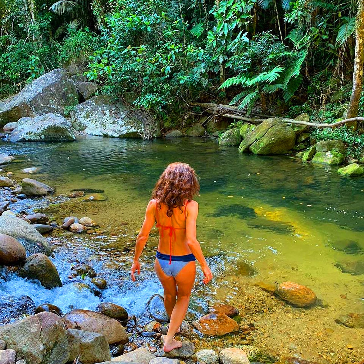 A person is seen walking into a clear stream surrounded by lush greenery. Smooth stones line the water's edge, and the vibrant foliage creates a serene atmosphere. The sunlight filters through the trees, casting a gentle glow on the water and enhancing the natural beauty.