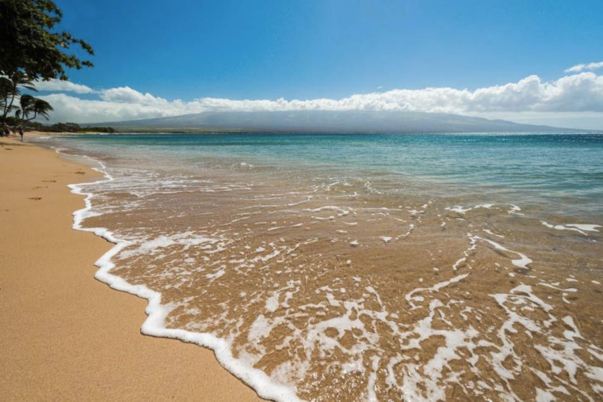 Condo in Wailuku · ★4.93 · 2 bedrooms · 3 beds · 2 private baths - Image 32
