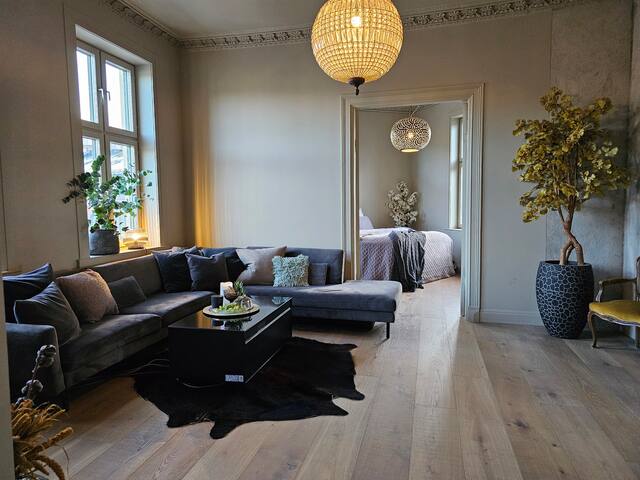 Beautiful 3BR 2 BA in heart of old town Oslo