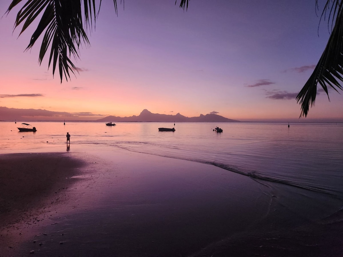 A serene beach scene at sunset features gentle waves lapping at the shore. Silhouettes of boats are scattered across calm waters, with distant mountains visible under a gradient sky of purple and orange hues. Palm fronds frame the image, adding a natural touch to the tranquil atmosphere.