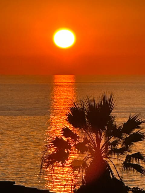 Successful Airbnb property: Villa Matilda in Trinità D'agultu E Vignola