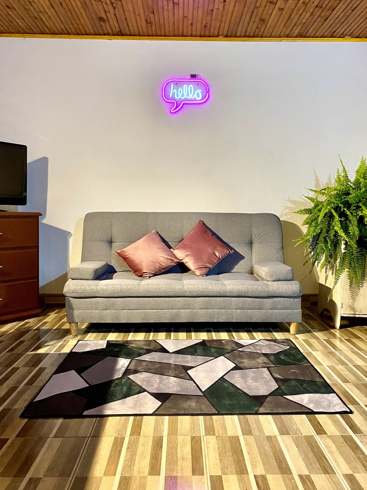 A modern sitting area is presented, featuring a stylish gray sofa adorned with two decorative pillows. A vibrant 'hello' neon sign is mounted on the wall above. A geometric patterned rug sits on the floor, complemented by a green potted plant in the corner.