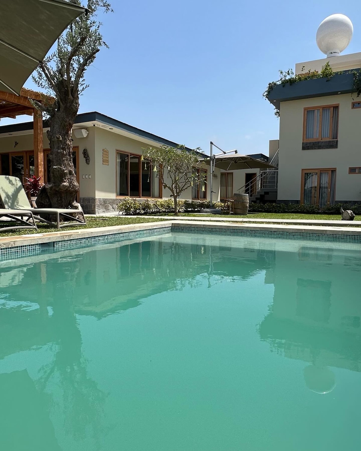 A clear turquoise pool reflects the surrounding greenery and structure. The pool is framed by manicured lawns, with a few trees providing shade. In the background, a two-story building features large windows that invite natural light into the interior spaces.