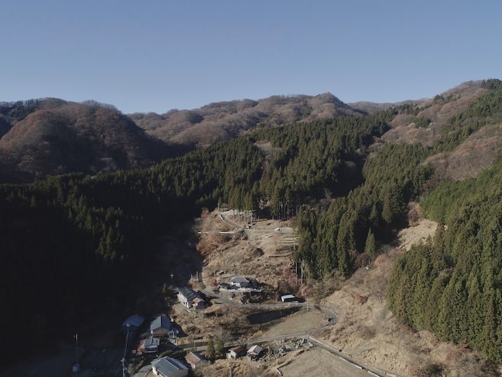 追加写真の写真2