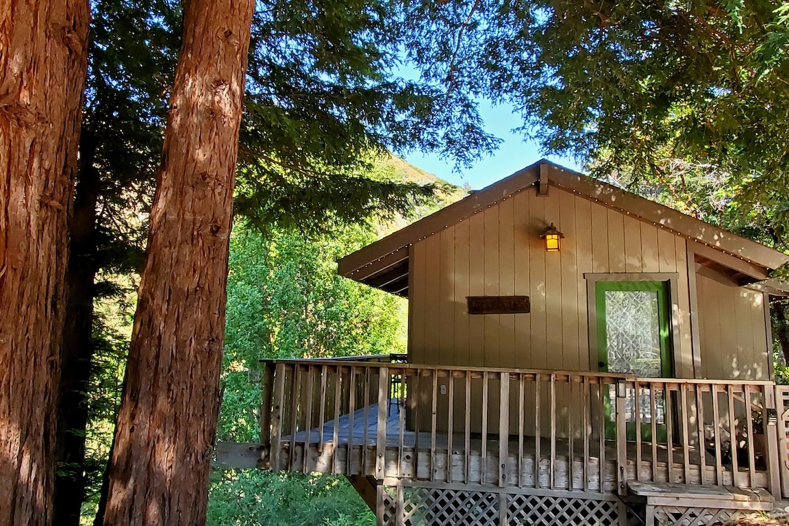 Redwood Cabin — view 2