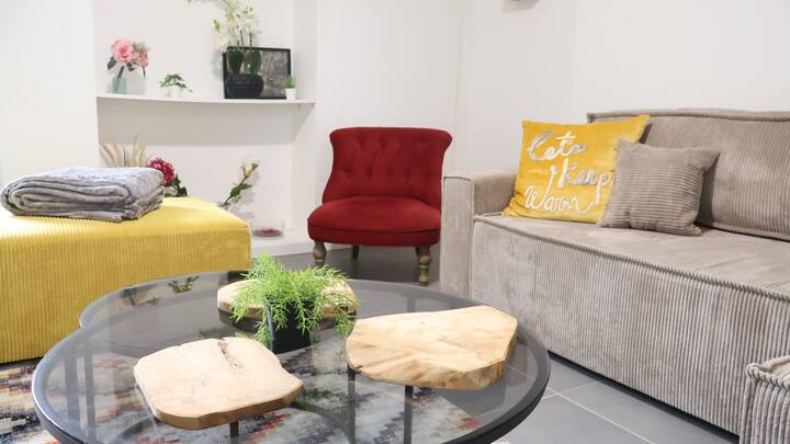 Le Clos Champenois Appartement Au Cœur Des Vignes - Marne