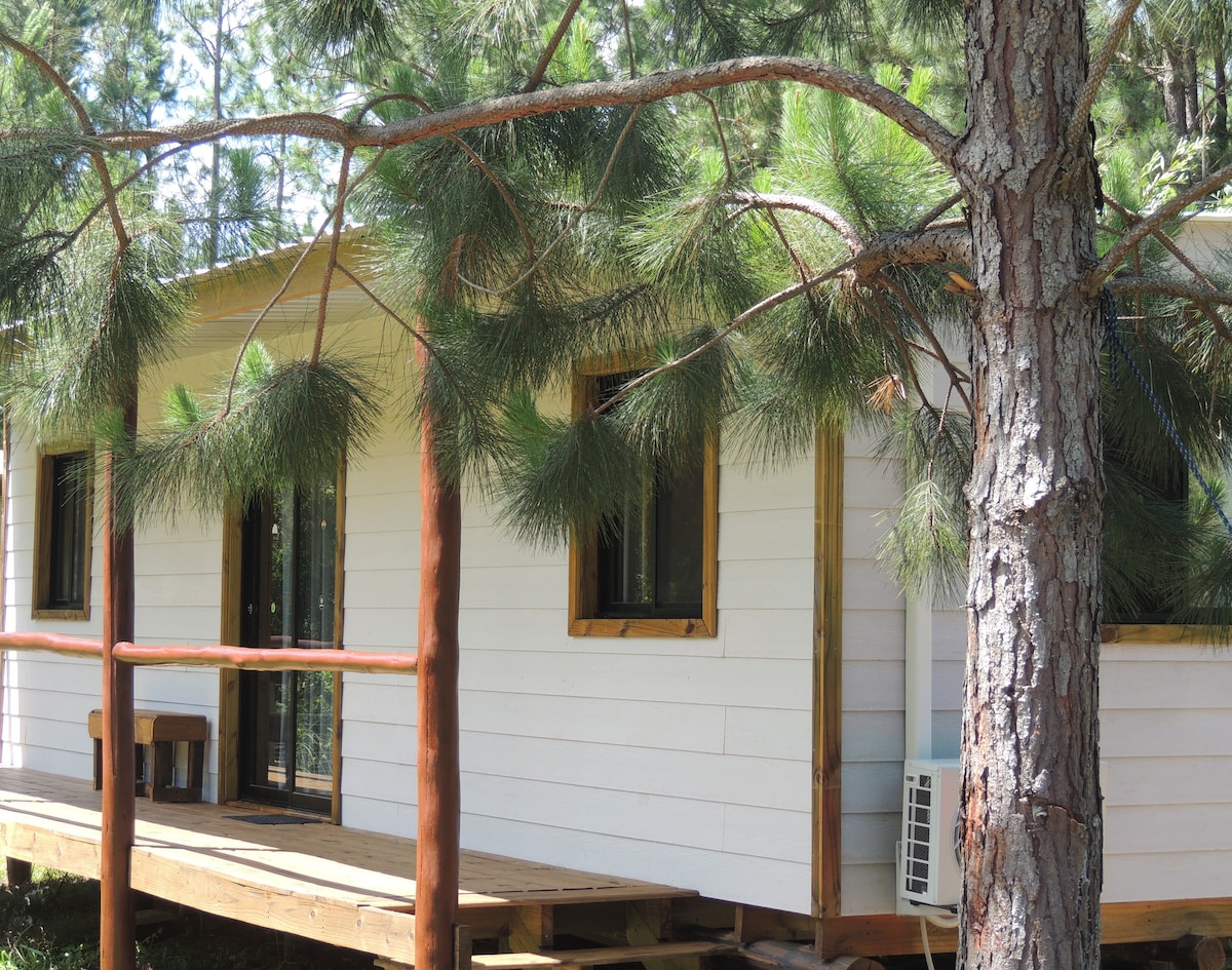 A cabin exterior is framed by tall pine trees, showcasing a wooden deck with a simple table. Large windows allow natural light into the space, while an air conditioning unit is mounted on the side. The structure is surrounded by lush greenery.