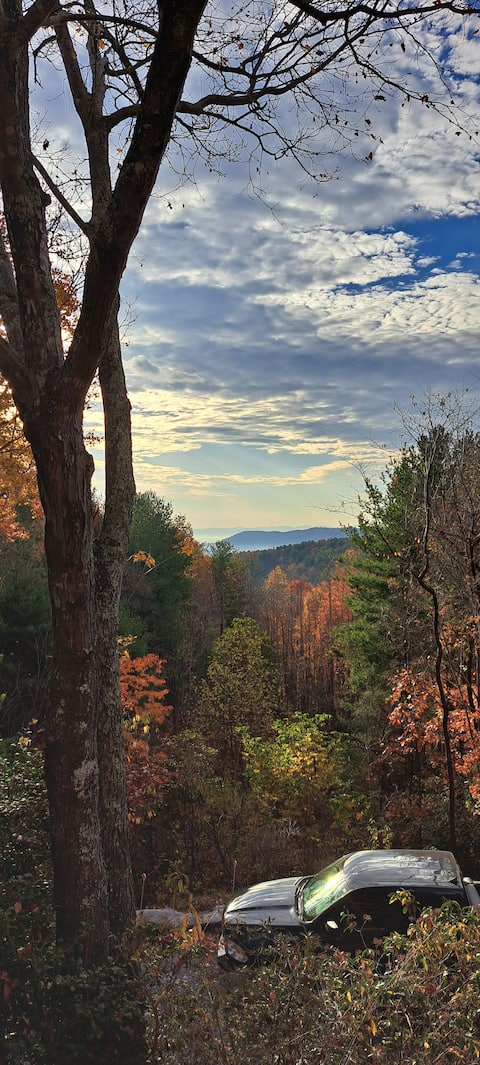 Secluded 10 acre cozy retreat, mtn views & pond