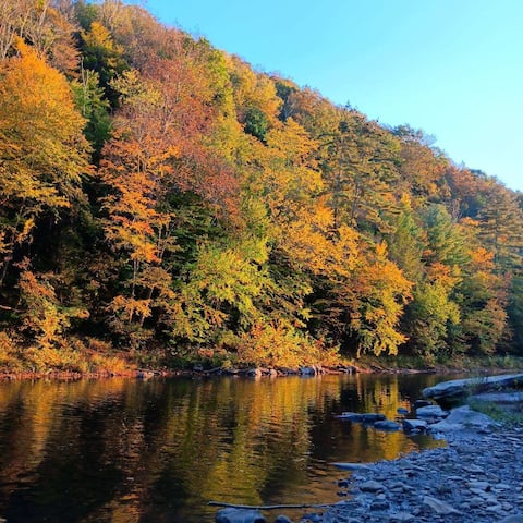 4BR Lodge w/ Swim Access - for10