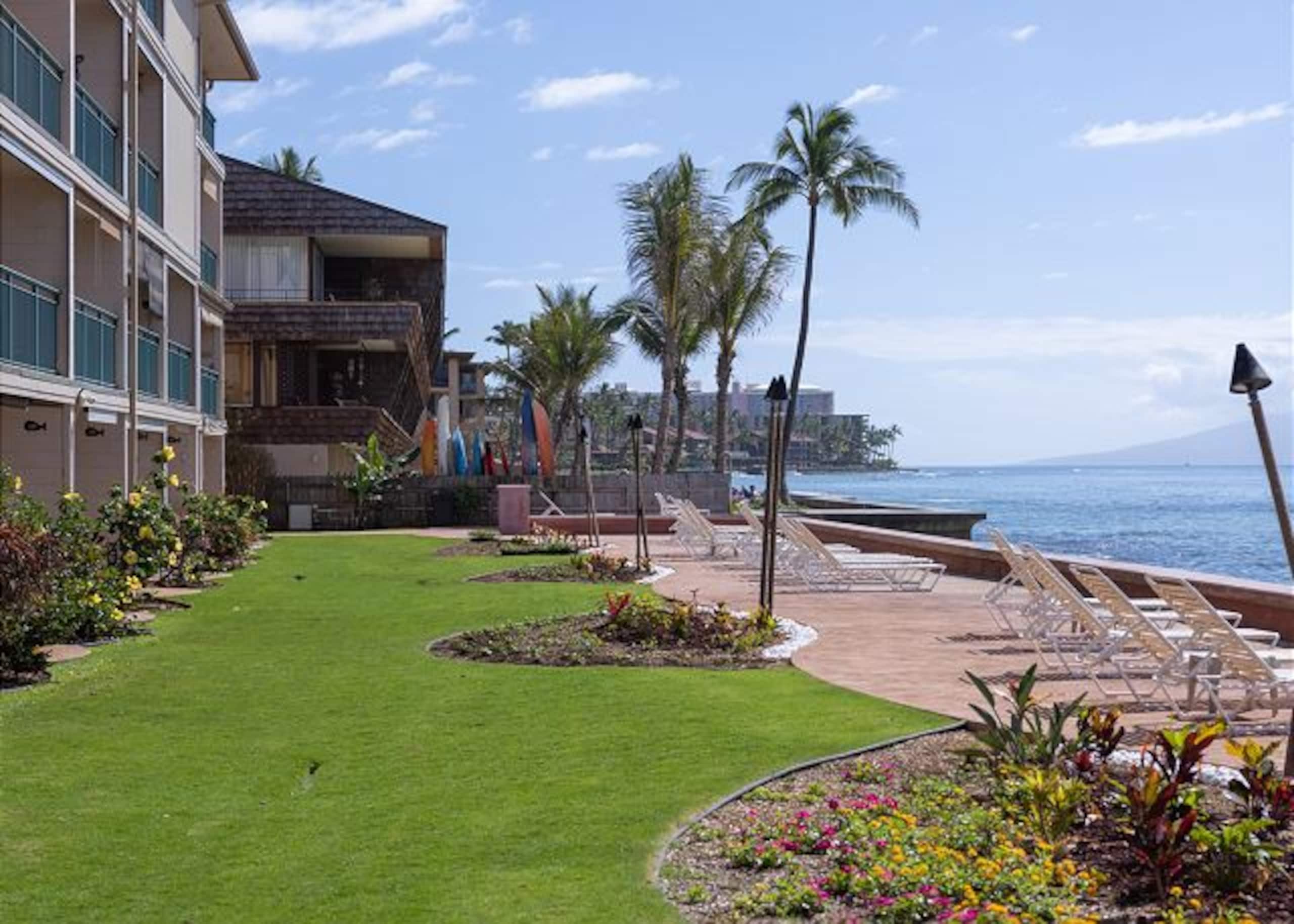 Lovely 1-BR Ocean Front Condo with split AC - Image 13