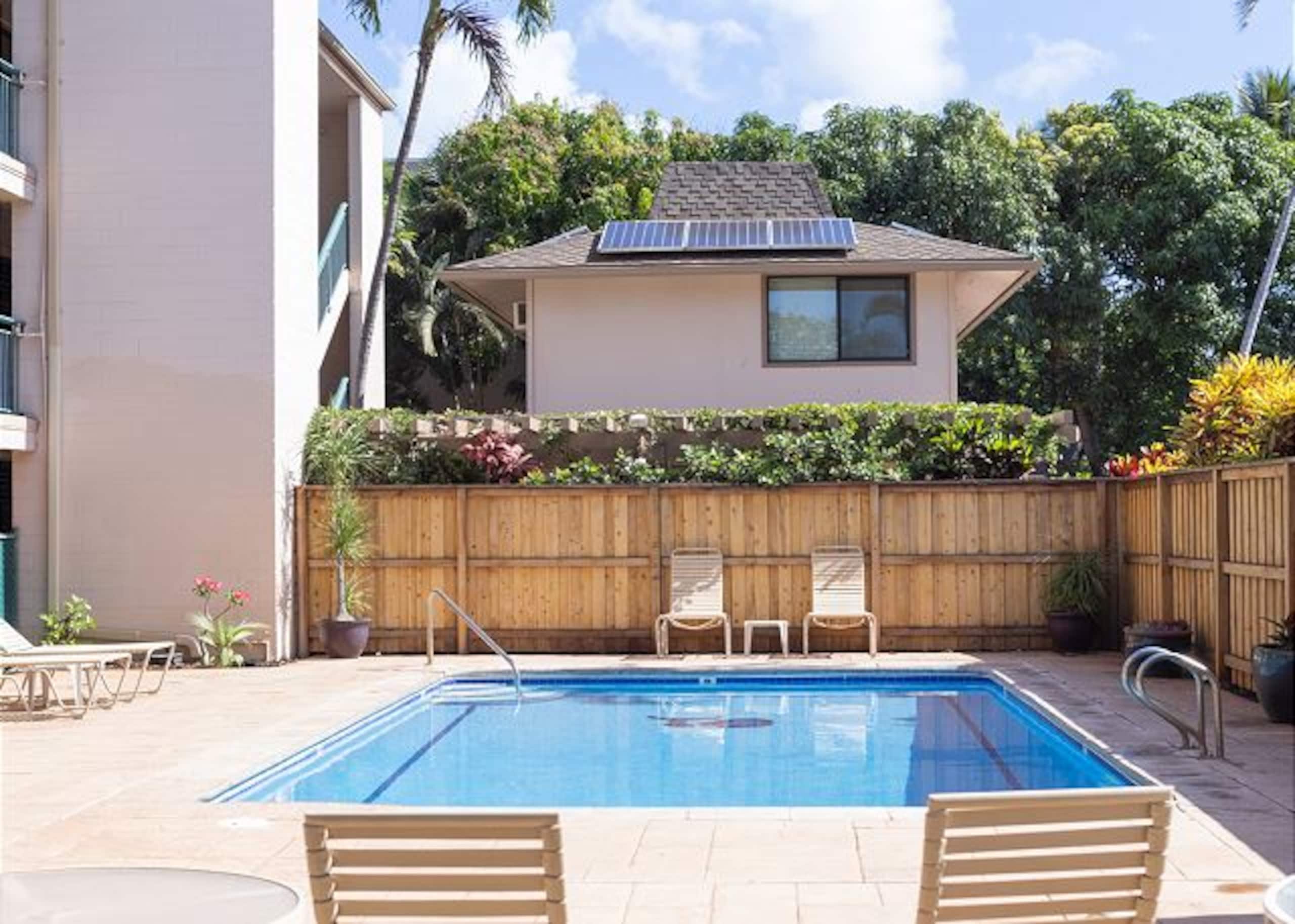 Lovely 1-BR Ocean Front Condo with split AC - Image 11