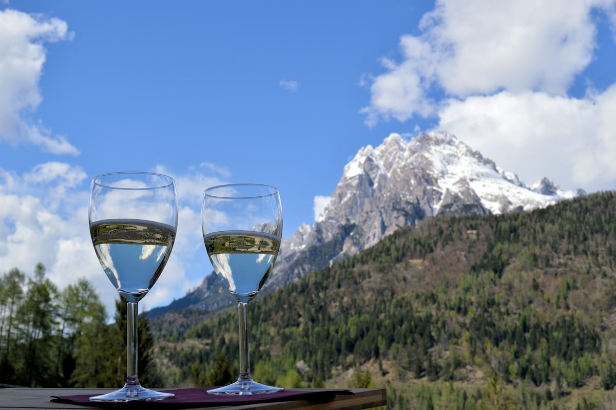 Two glasses of white wine are positioned on a table, with a stunning backdrop of snow-capped mountains and a clear blue sky. Lush greenery is visible in the foreground, suggesting a serene natural setting.