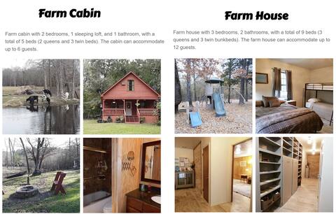 Family Reunion Retreat on a Farm