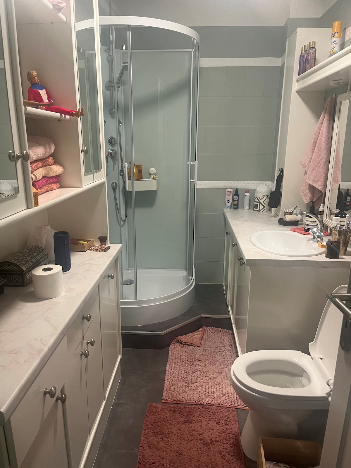 The bathroom features a shower enclosed in glass, with a showerhead mounted on the wall. Countertops are arranged with toiletries and a sink. Shelves are lined with neatly stacked towels, and a rug is placed on the floor, creating a functional space for daily routines.