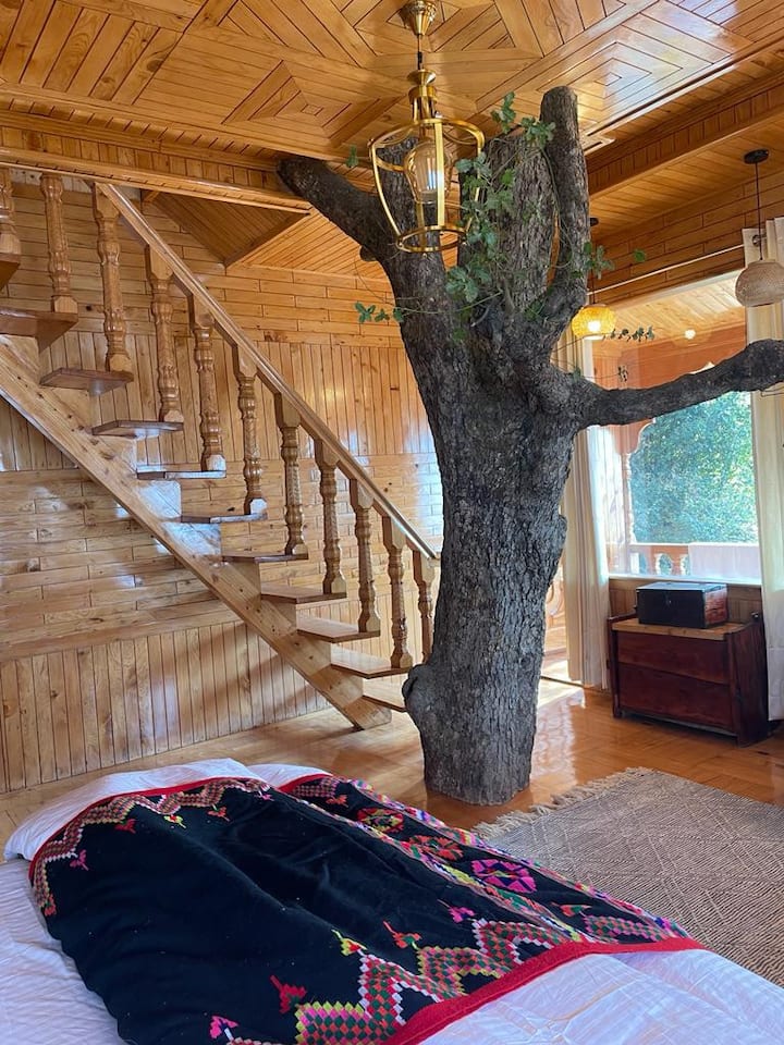 Luxury Tree House | Jacuzzi | Private 3br | Kasol - Himachal Pradesh