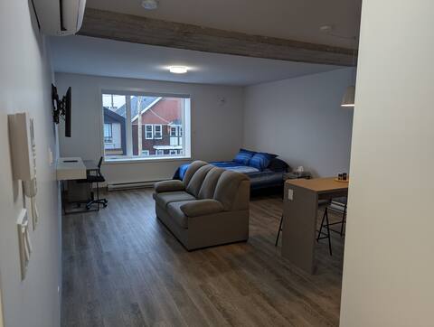 Refurbished loft, city center 102