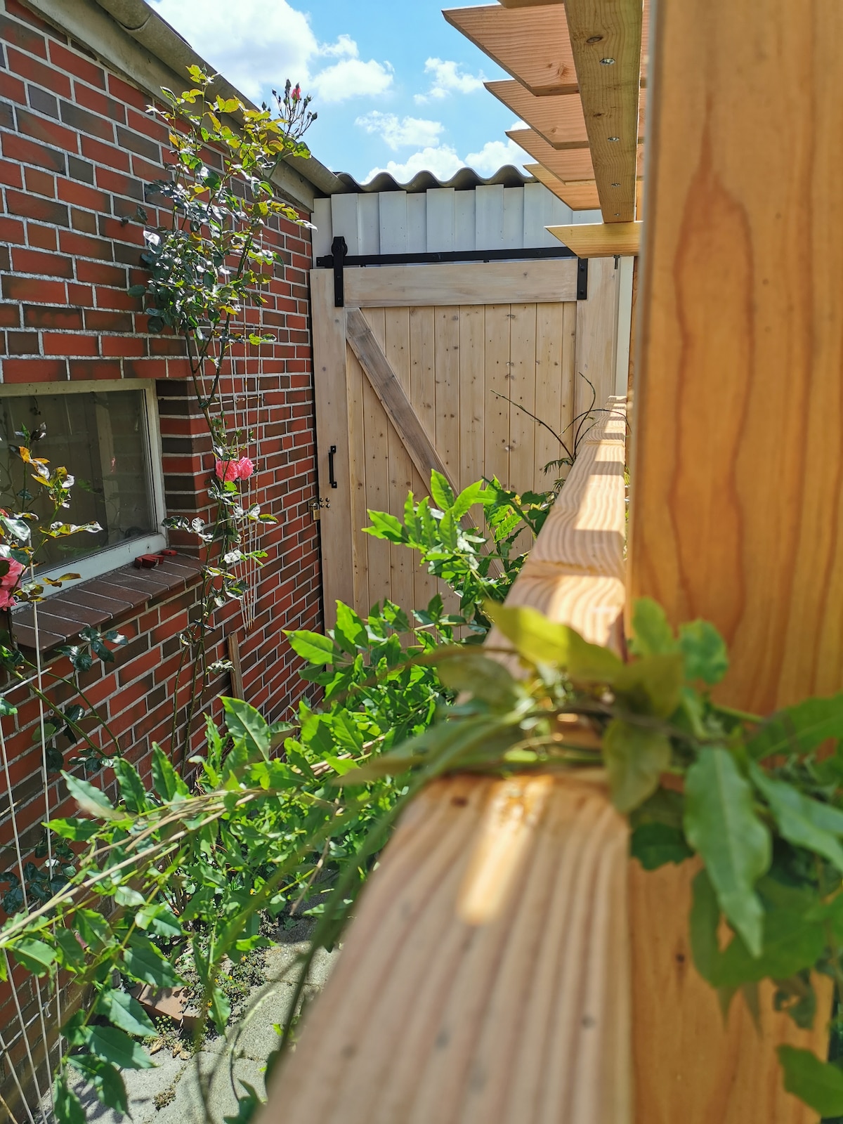 A wooden fence leads to a door framed by lush greenery. Climbing plants and blooming flowers add color to the brick wall surrounding the area, with sunlight filtering through leaves, creating a serene atmosphere in this outdoor space.