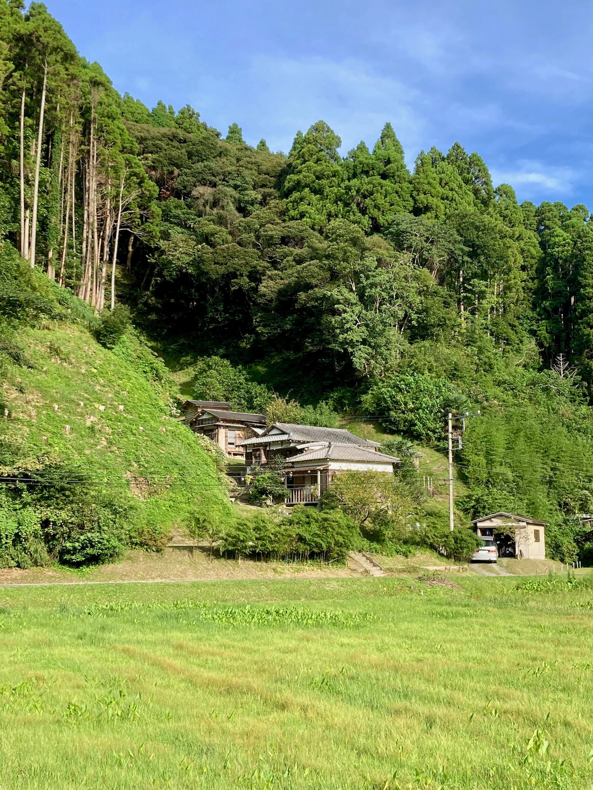 A unique collection of four homes sits nestled on a hillside, surrounded by lush greenery. Towering trees and vibrant foliage create a natural backdrop, while open fields extend in the foreground, providing a sense of tranquility and connection to nature.