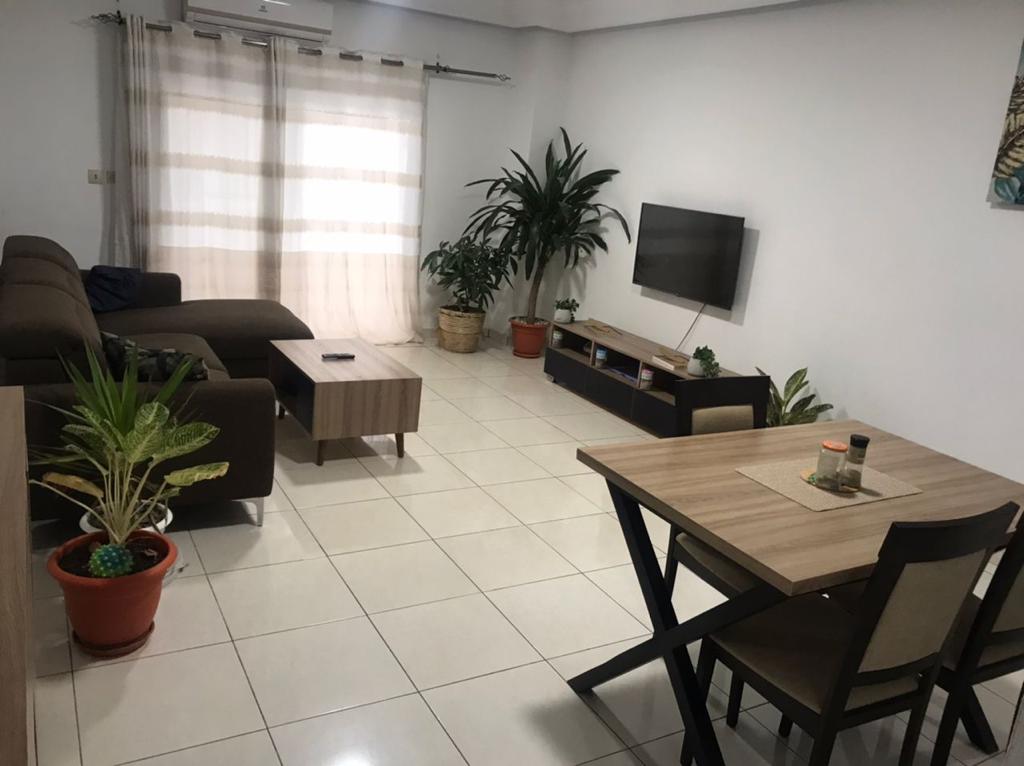 A modern living area is visible, featuring a comfortable brown sofa and a wooden coffee table. A flat-screen TV is mounted on the wall opposite. Natural light filters through sheer curtains, and potted plants add a touch of greenery. A dining table with chairs occupies one corner.
