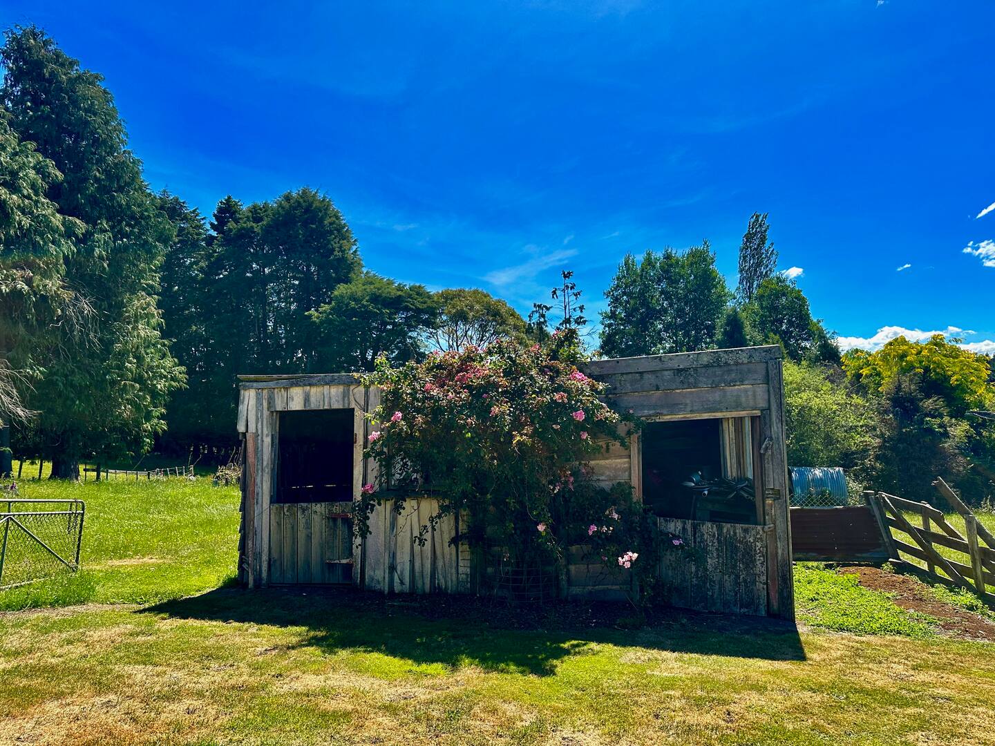 Redwood Cottage 3