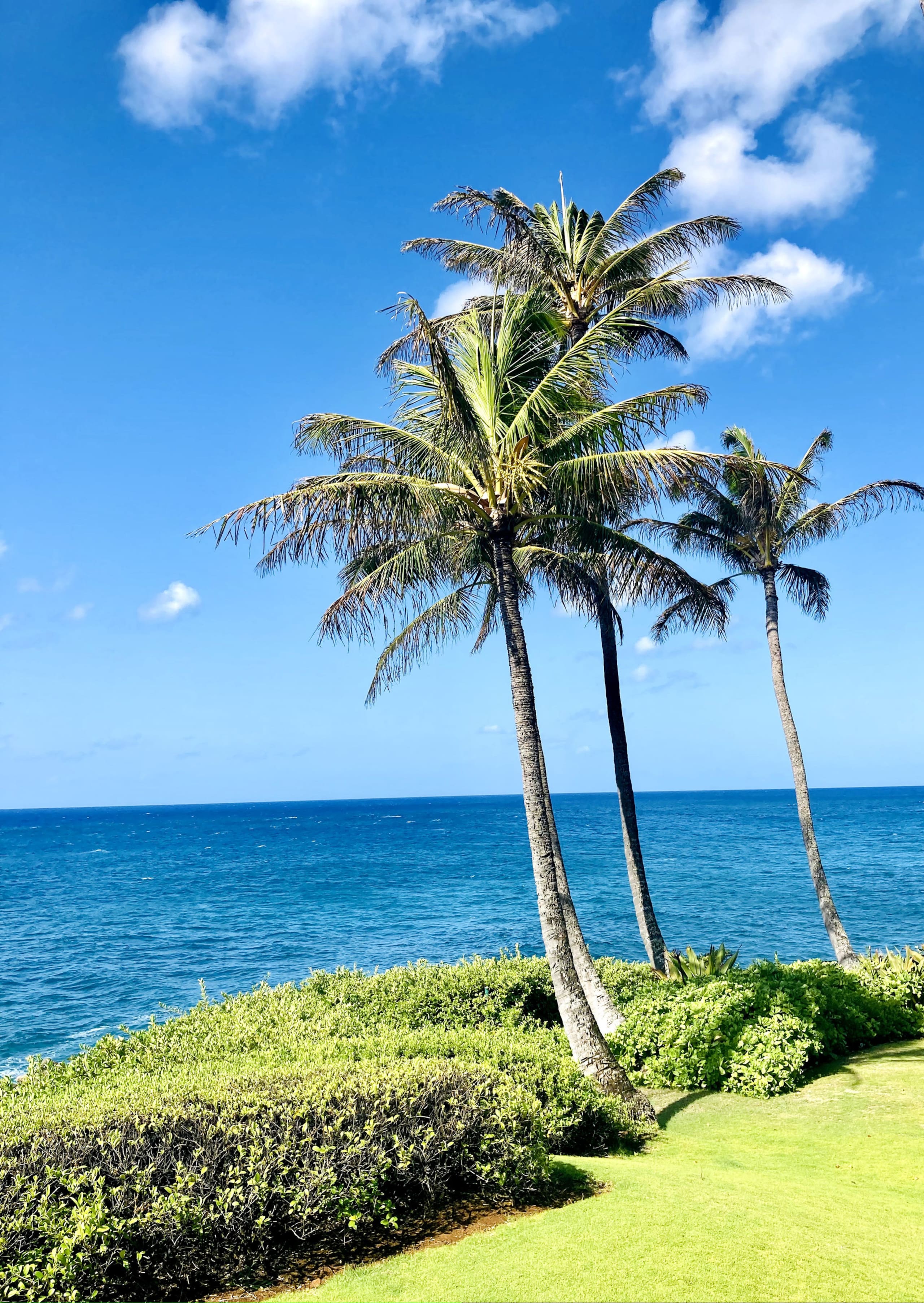 Koloa Oceanview Condo - Image 43