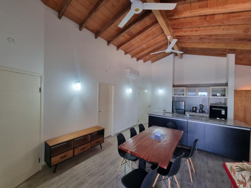 An open dining area is complemented by a wooden table surrounded by six black chairs. The room features high wooden ceilings with exposed beams and a ceiling fan. Natural light brightens the space, showcasing a modern kitchen equipped with essential appliances.