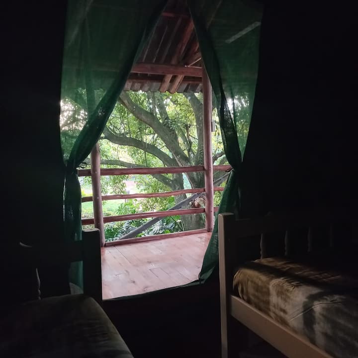 Vista desde el interior de las tiendas de campaña.