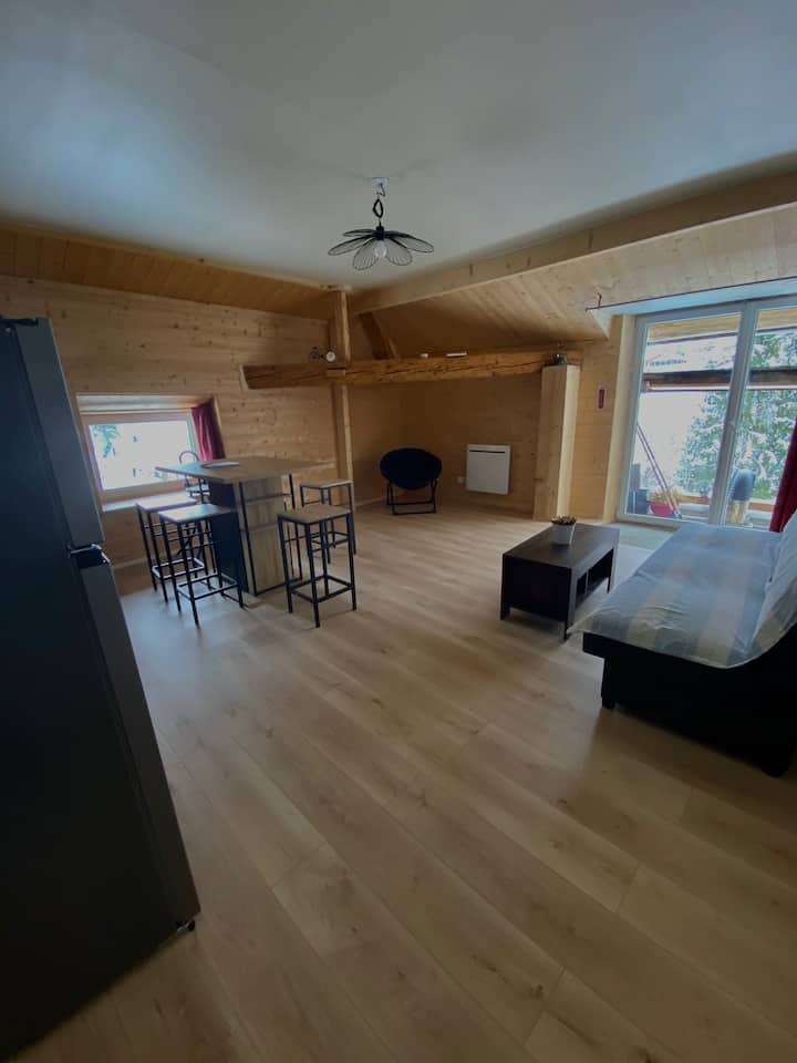 Convivial Appartement 4 Pièces - Mouthe