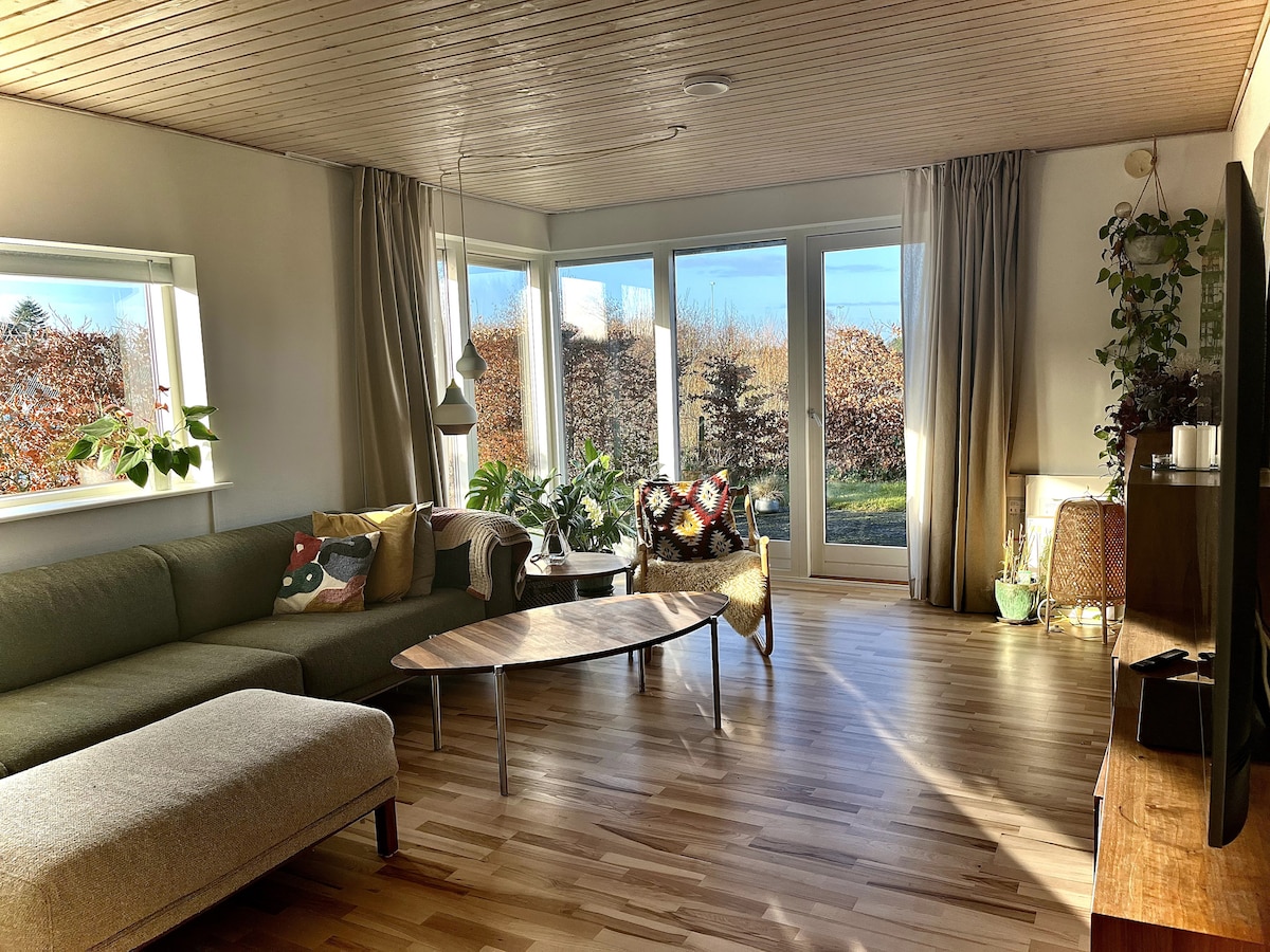 A bright living area features a large sectional sofa and a coffee table with a unique shape. Natural light fills the space through large windows, offering views of the greenery outside. Potted plants and decorative items add a touch of character.