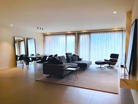 Elegant penthouse 300 m from Tasis