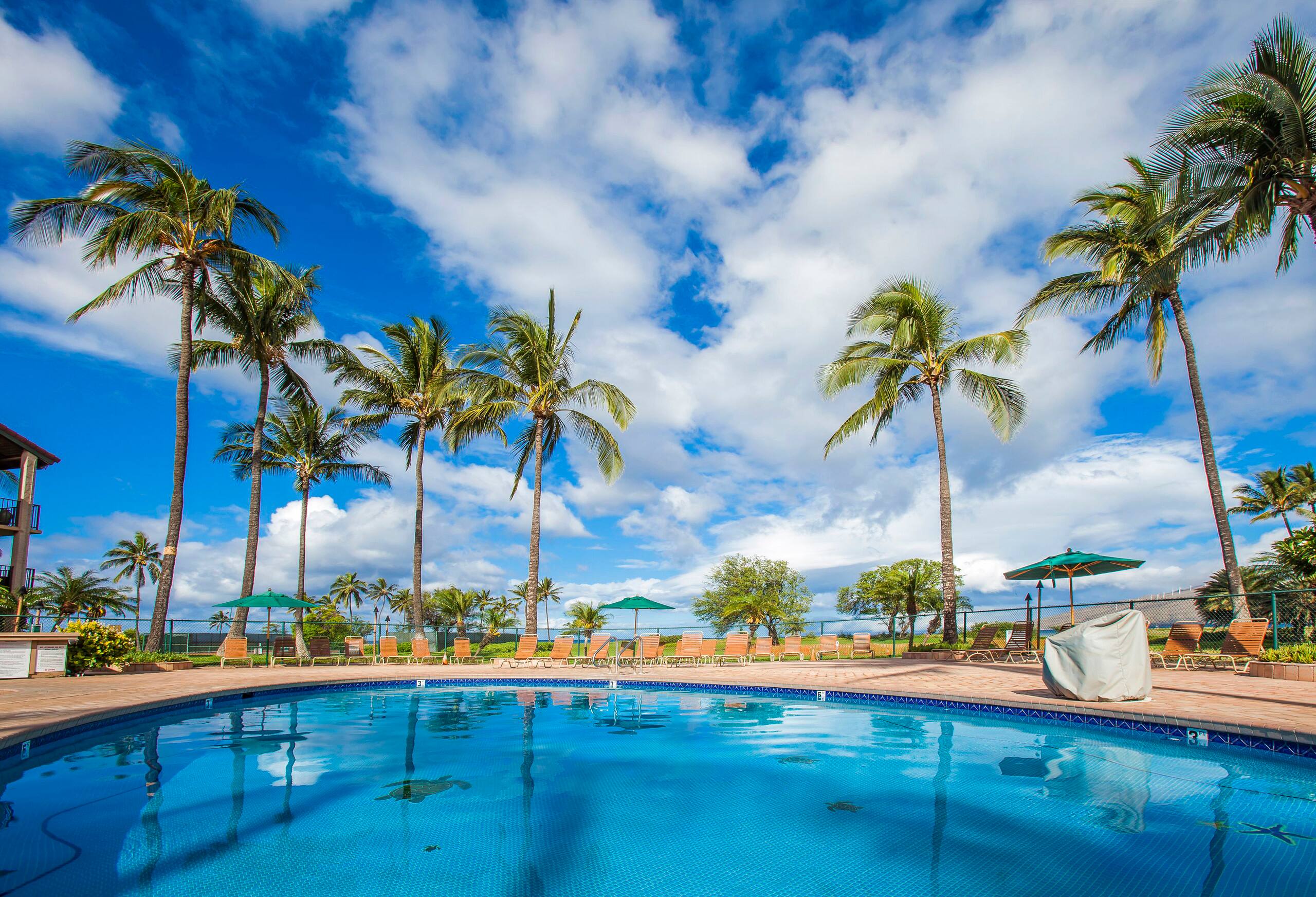 Ocean beachfront Luana Kai A103 updatedcondo Maui - Image 17