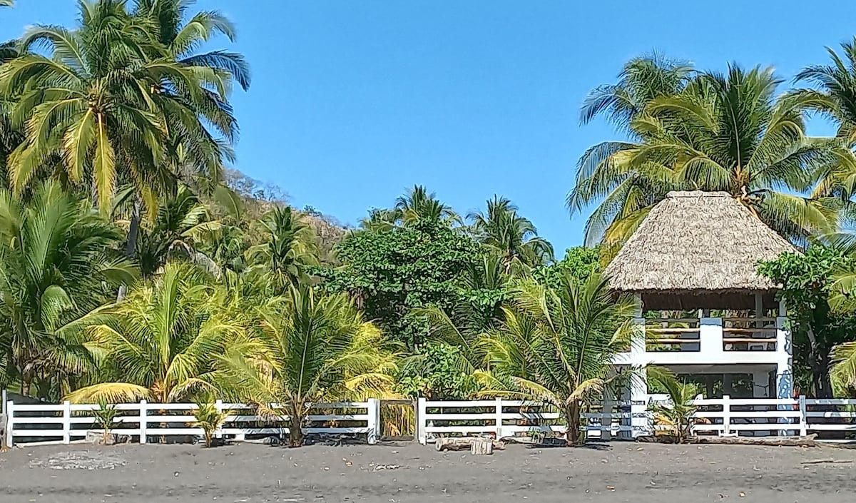 The beachfront property features lush palm trees that frame a quaint bungalow with a thatched roof. A white fence encircles the garden, providing a clear separation between the sandy beach and the tropical greenery.