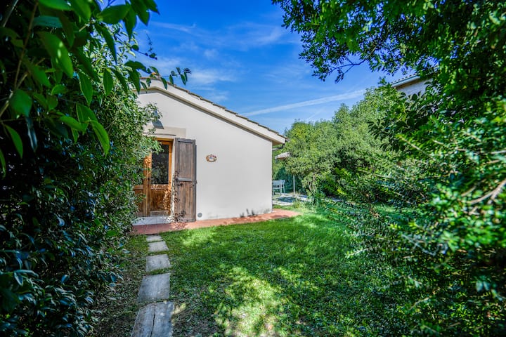 "Pini" Il Molinello - Rapolano Terme