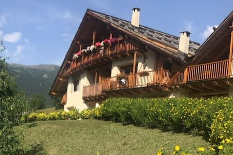 Paola's cabin for an escape from the city heat