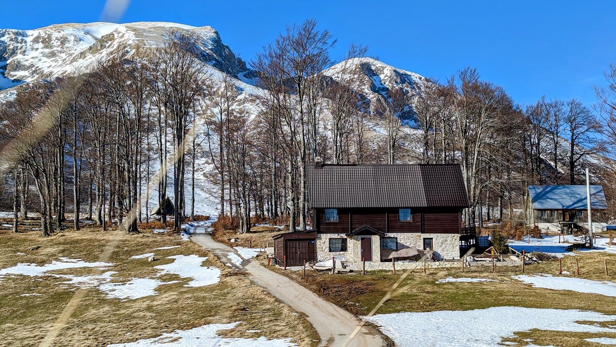 The two-story chalet is nestled among bare trees, facing snow-capped mountains in the background. A clear blue sky contrasts with the snowy landscape, while a pathway leads to the house. Surrounding snow patches add to the serene, natural setting.