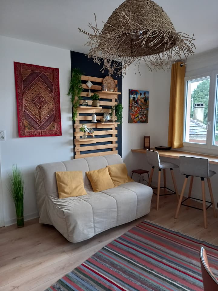 Appartement Centre Ville Lourdes - Lourdes