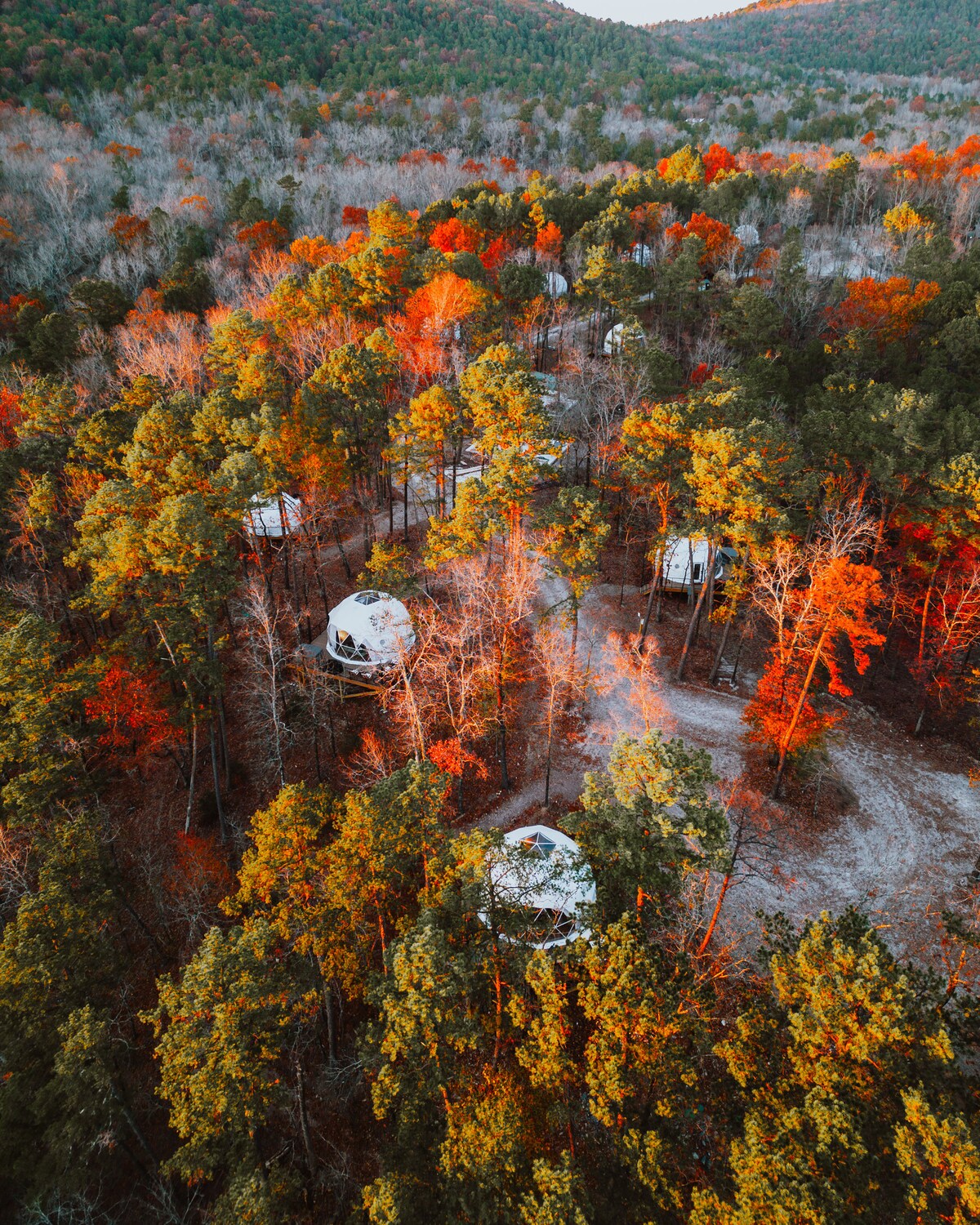 An aerial view captures the Babe Ruth Geodesic Domes nestled among vibrant autumn foliage in the Ouachita Mountains. Surrounding trees display an array of orange and red leaves, creating a serene setting. The winding path leads through the wooded landscape, enhancing the sense of tranquility.