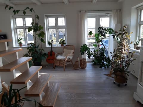 Popular Airbnb listing: Thyholm village house by the square, for 6 people, Limfjorden. in Struer