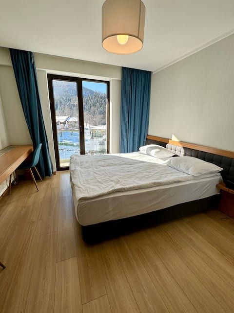 Studio type apartment bakuriani
