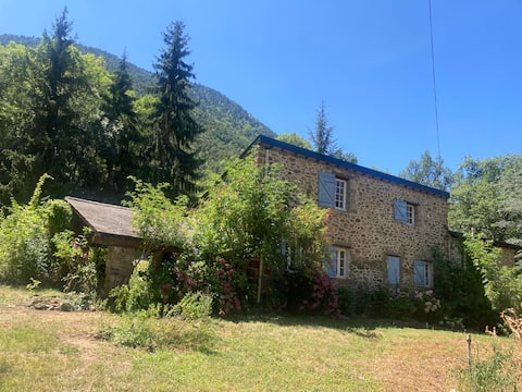 Maison Mânes, mountain house