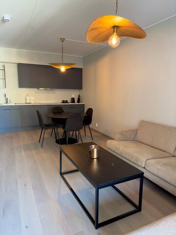 Moderne leilighet i Oslobukta! gallery image 4