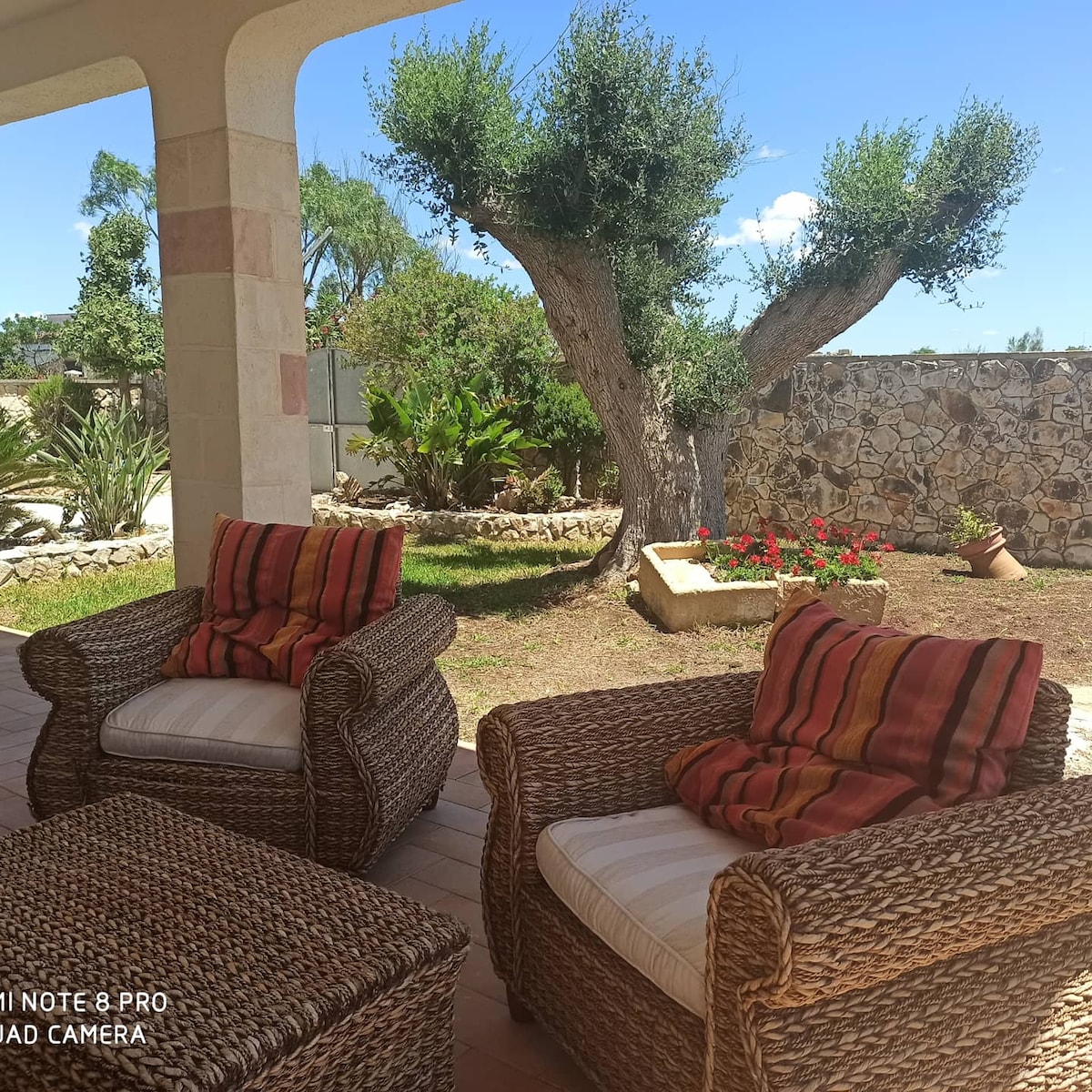 A shaded outdoor patio area features two woven armchairs with colorful cushions, positioned around a small table. Lush greenery, including olive trees and flowering plants, creates a tranquil setting. A low stone wall is visible in the background, enhancing the natural ambiance.