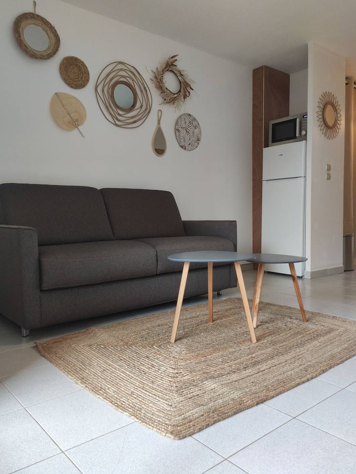 Studio Balcon + Parking - Proche Thermes - Balaruc-les-Bains