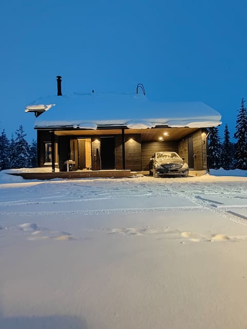 Modern luxury villa - Levin Villa Repo