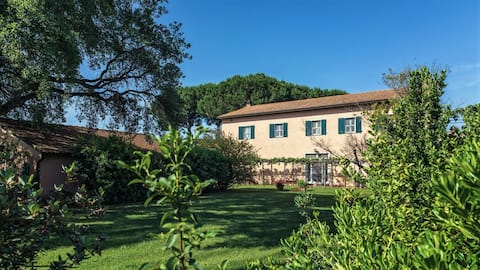 Yoga, groups, park and pool