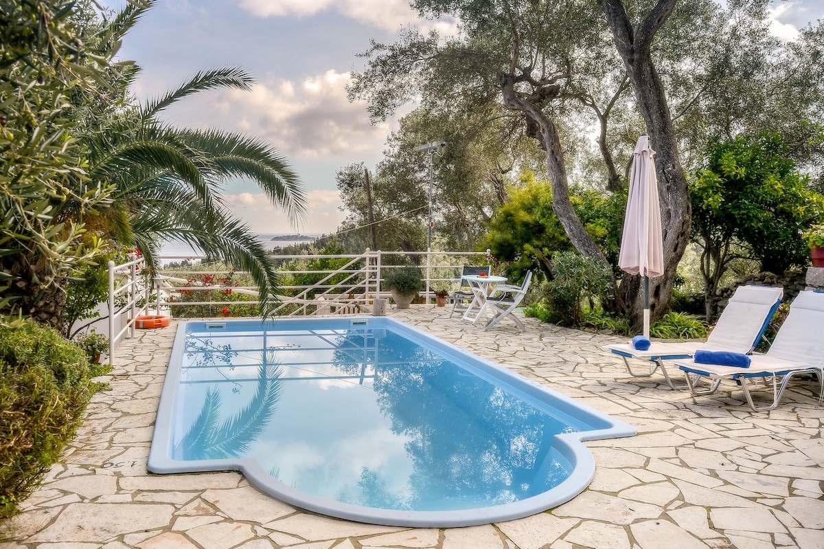 A serene outdoor area features a crystal-clear swimming pool surrounded by lush greenery and olive trees. Sun loungers are arranged on the stone patio, with a pink umbrella providing shade. The peaceful setting invites relaxation and enjoyment of nature.