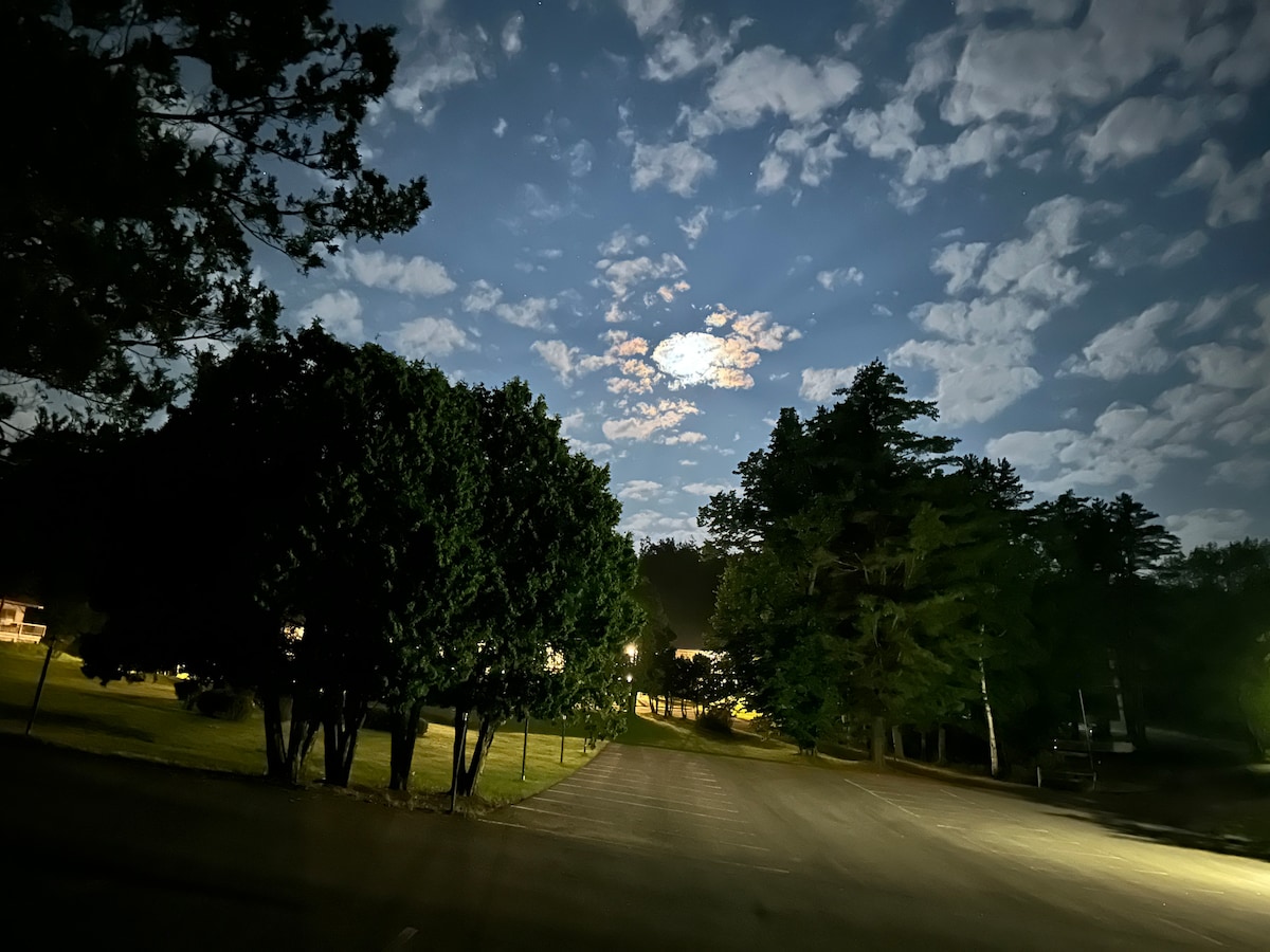 A moonlit scene captures a wide, open road lined with silhouette trees. Soft lighting illuminates structures in the distance against a backdrop of cloudy night sky, creating a serene atmosphere.