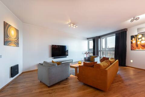 Spacious penthouse apartment with a good view