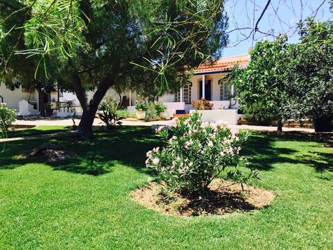 Vale de Camelos Country House